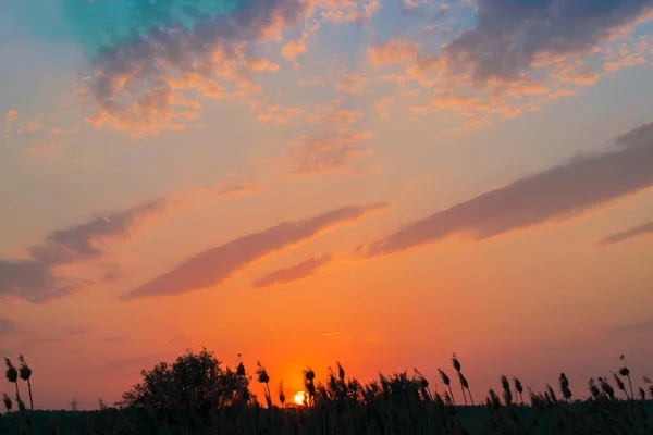 Los Colores Calientes Calientes Los Matices Los Paisajes Hermosos Rusia — Foto de Stock