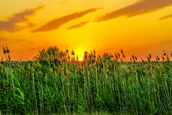 Los Colores Calientes Calientes Los Matices Los Paisajes Hermosos Rusia — Foto de Stock