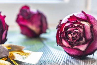 Kuru pembe çiçekler, güller, dokulu arka plan, kadın partileri, sürprizler ve hediyeler. Hafızadaki herbaryum. Festival sembolleri unsurları ile olağandışı kavramsal kompozisyon