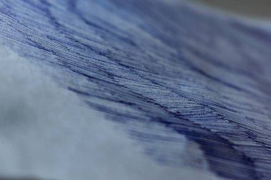 Boyalı kirli vuruşlar yapılmış beyaz bir kağıt, mavi tükenmez kalem. Bulanık arka plan, sığ alan derinliği. Çizilmiş rekor. Anlaşılmaz karalamalar. Sıradan bir yırtık tabakasının dokusu