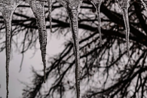 Belos Transparentes Limpos Ciclones Pôr Sol Inverno Padrões Escorregadios Frios — Fotografia de Stock