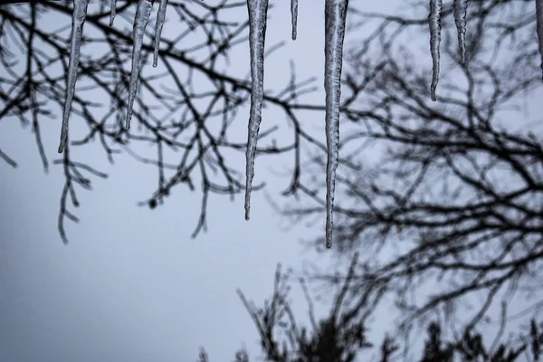 Belos Transparentes Limpos Ciclones Pôr Sol Inverno Padrões Escorregadios Frios — Fotografia de Stock