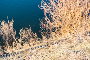 Erken bahar manzara, Shakhty kentinde Rostov bölgesinde, Grushevka Nehri üzerinde. Sarı ve turuncu sıcak ışıkta güneşli günbatımı. Yerel kıyı üzerinde Kuru Çim ve TH güzel bir yansıma