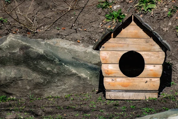 Construit Partir Bois Planches Bois Chenil Pour Chiens Une Maison — Photo