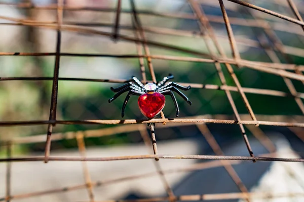 Μια Εξωφρενική Γυναικεία Καρφίτσα Μορφή Μιας Μαύρης Αράχνης Στρας Και — Φωτογραφία Αρχείου