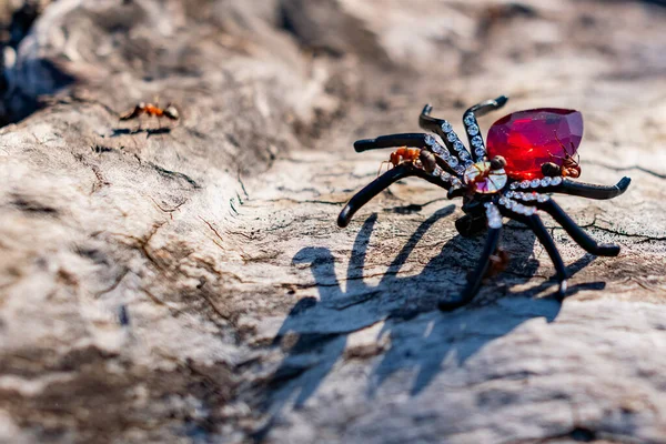 Broche Femme Extravagante Forme Araignée Noire Avec Strass Pierre Rouge — Photo