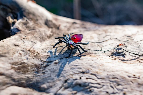 Μια Εξωφρενική Γυναικεία Καρφίτσα Μορφή Μιας Μαύρης Αράχνης Στρας Και — Φωτογραφία Αρχείου
