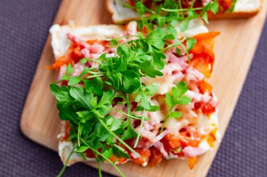 Domates soslu kızarmış sebzeli fırında sıcak sandviç, eritilmiş peynir ve ahşap bir tahtanın üzerindeki yeşil su teresi.