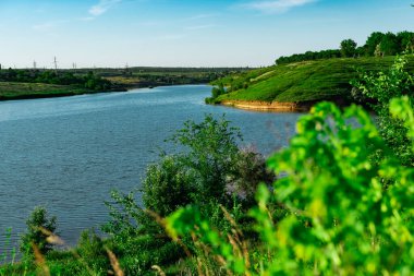 Geniş bir nehir manzarası ve bir sürü yeşil bitki örtüsü. Rostov Oblastı, Grushevka Nehri. Sıcak yaz mevsimi, bahar, her şey açar ve kokar, güneşli açık bir gün.