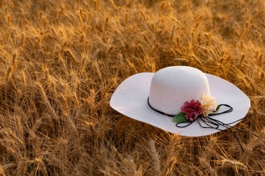 Güneş koruması ve aksesuar olarak kafasında büyük beyaz bir hasır şapka, çiçekler ve siyah dantelle süslenmiş, gün batımında arpanın altın kulaklarında yatar.