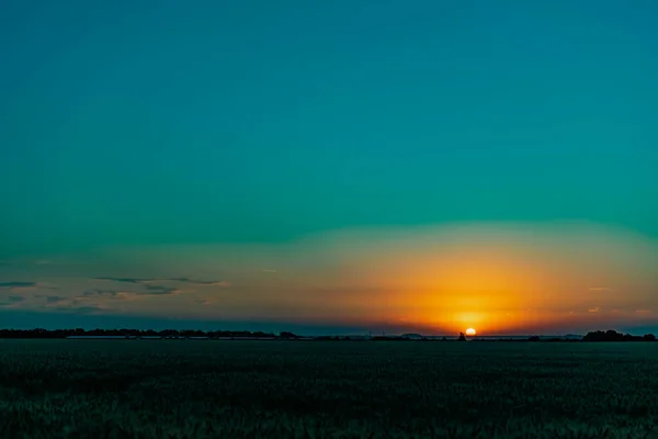 Piękny Wieczorny Zachód Słońca Nad Polem Złotych Uszu Pszenicy Jęczmienia — Zdjęcie stockowe