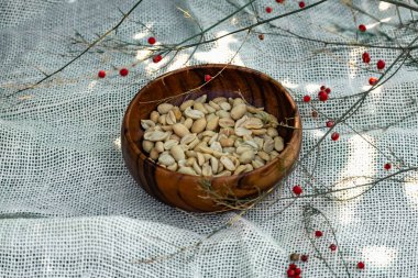 Güzel bir ahşap tabakta, kırmızı böğürtlenli ince yeşil bir dalın içinden kızarmış tuzlanmış fıstık. Atıştırmalık fasulye.