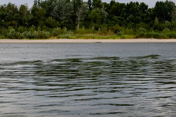 Simple landscape with the freshwater river don in the Rostov region. Warm season, summer, cloudy sky over the sandy beach and green vegetation.