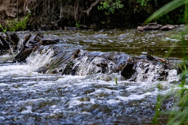 Una Pequeña Cascada Natural Bosque Entre Piedras Ramas Troncos Hay — Foto de Stock