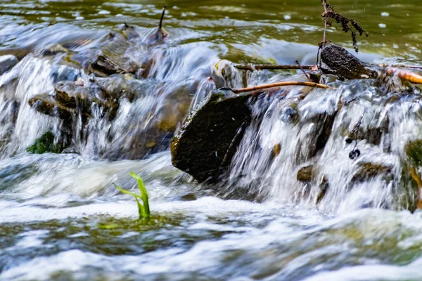 Una Piccola Cascata Naturale Nella Foresta Tra Sassi Rami Tronchi — Foto Stock