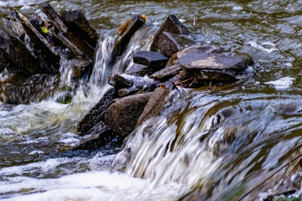 Una Pequeña Cascada Natural Bosque Entre Piedras Ramas Troncos Hay —  Fotos de Stock