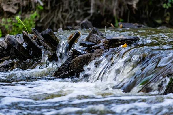 Una Piccola Cascata Naturale Nella Foresta Tra Sassi Rami Tronchi — Foto Stock