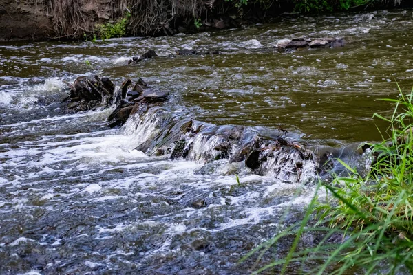 Una Pequeña Cascada Natural Bosque Entre Piedras Ramas Troncos Hay — Foto de Stock