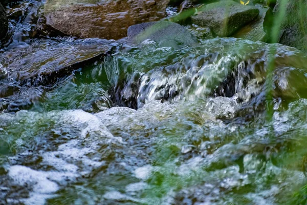 Uma Pequena Cachoeira Natural Floresta Entre Pedras Galhos Troncos Muita — Fotografia de Stock