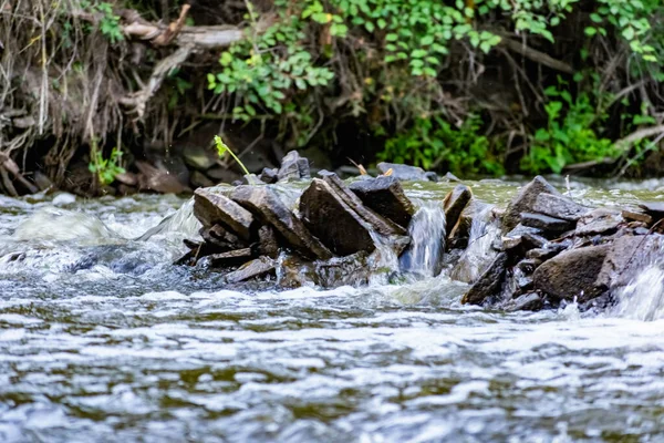 Una Pequeña Cascada Natural Bosque Entre Piedras Ramas Troncos Hay — Foto de Stock