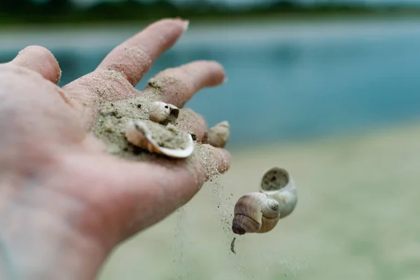 Conchas Fluviais Areia Fina Rio Branco Caem Mão Uma Mulher — Fotografia de Stock