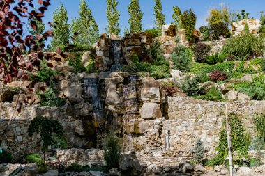 Küçük yapay bir tatlı su şelalesi yaygın bir yaşayan gölete akar. Yeşil yosun ve bitki örtülü arsa yapısı. Doğal elementlerin ve detayların güzel tasarımı.