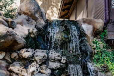 Küçük yapay bir tatlı su şelalesi yaygın bir yaşayan gölete akar. Yeşil yosun ve bitki örtülü arsa yapısı. Doğal elementlerin ve detayların güzel tasarımı.