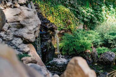 Küçük yapay bir tatlı su şelalesi yaygın bir yaşayan gölete akar. Yeşil yosun ve bitki örtülü arsa yapısı. Doğal elementlerin ve detayların güzel tasarımı.