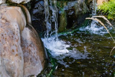 Küçük yapay bir tatlı su şelalesi yaygın bir yaşayan gölete akar. Yeşil yosun ve bitki örtülü arsa yapısı. Doğal elementlerin ve detayların güzel tasarımı.