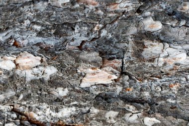 Ukrayna, Kiev, dextura kabuğu arka plan