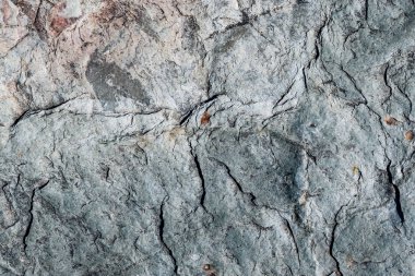 Ukrayna, Kiev, taş doku arka plan