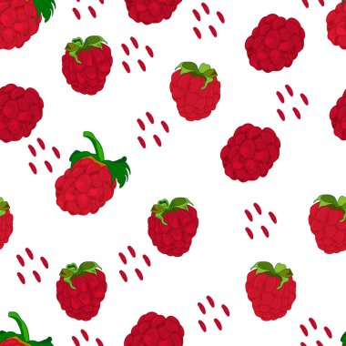 İzole edilmiş beyaz bir zemin üzerinde el yapımı ahududu meyvelerinin kusursuz çizimleri. Romantik geçmiş, sembol, ambalaj, hediyeler, bayram, tebrik kartı, dekorasyon.