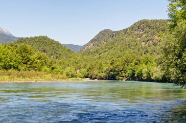 Dağ manzarası: hızlı dağ nehir akar yeşil dağ orman ve dağ zirveleri arka plan üzerinde