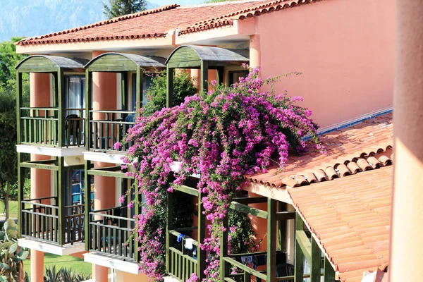 Blick Von Der Hotelterrasse Auf Ein Schönes Wohnhaus Mit Blumen — Stockfoto