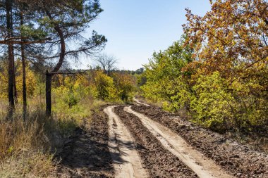 Haddelenmiş toprak yol küçük bir sonbahar orman yoluyla koydu 
