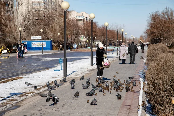 Gente caminando en la plaza alimentan a palomas y gorriones con semillas — Foto de Stock
