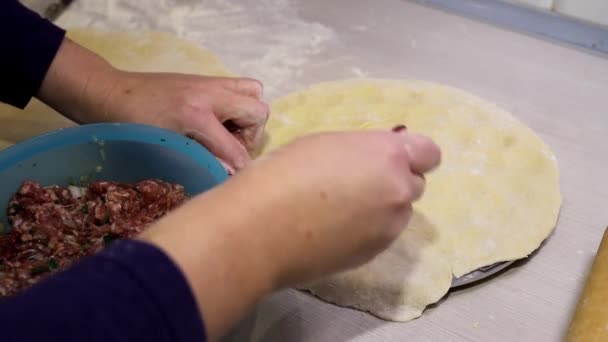 Laying Minced Meat Dough Special Form — Stock Video
