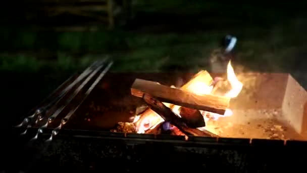 Дрова Букового Копчення Спалюють Грилі — стокове відео