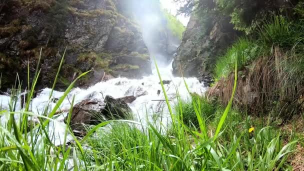 Blick Auf Einen Kleinen Bergwasserfall Kaukasus Durch Das Junge Grüne — Stockvideo