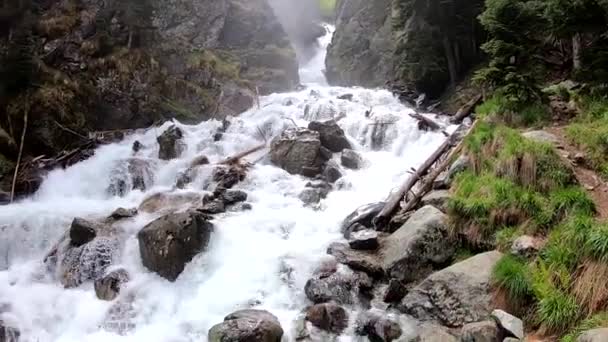 Vista Una Pequeña Cascada Montaña Con Grandes Rocas Altos Pinos — Vídeos de Stock