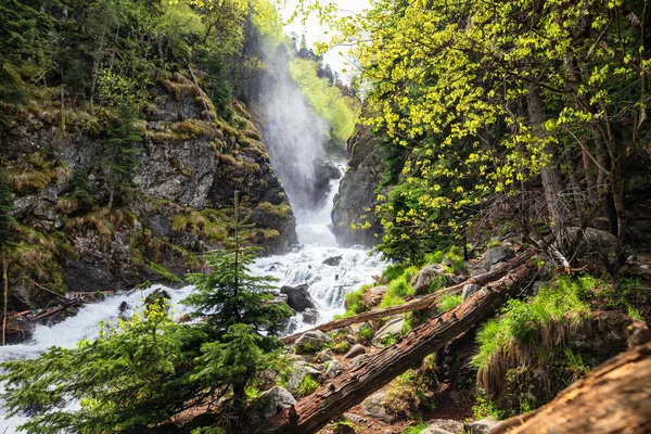 Snabb fjällbäck i tallskog — Stockfoto