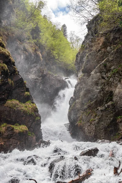 Snabb fjällbäck i tallskog — Stockfoto