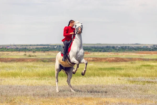 Mladá dívka trénuje jezdce, aby provedla kaskulty na koních a — Stock fotografie