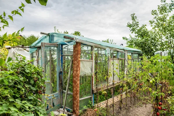 Építése egy üvegház, kerti hulladék anyagokból — Stock Fotó