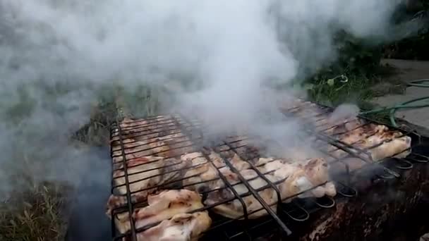 Cocinar Carne Marinada Parrilla Sobre Las Brasas — Vídeo de stock