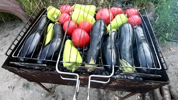 Frisches Gemüse Auf Heißen Kohlen Grill Zubereiten — Stockvideo