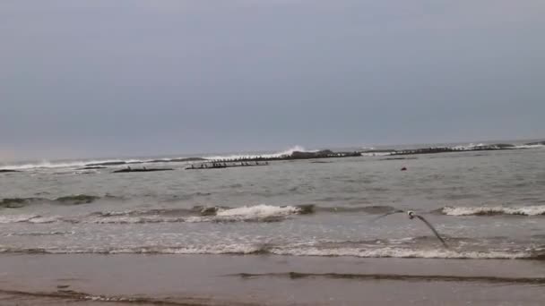 Cloudy Day Storm Caspian Sea Waves Beat Shell Reef Protecting — Stock Video