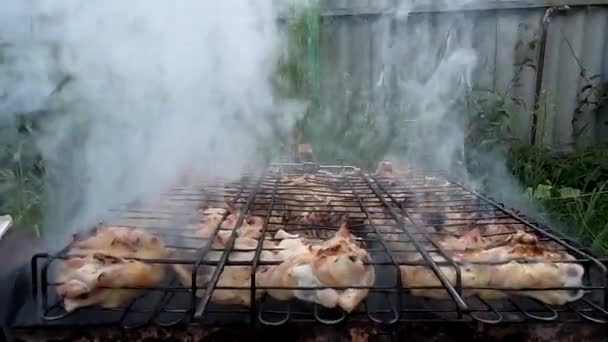 Cocinar Carne Marinada Parrilla Sobre Las Brasas — Vídeo de stock