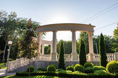 Şehir eğlence parkının girişindeki dekoratif çalı ve ağaçların manzarası