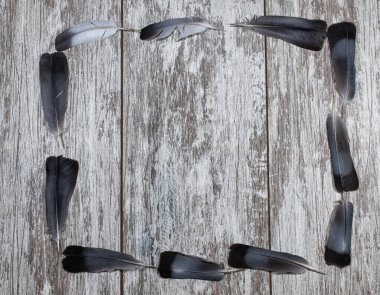 Kuş tüylerinden yapılmış bir çerçeve ahşap bir arka planda serilmiştir. Çerçevenin ortasına metin yazma gününün arkaplanı